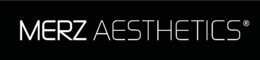 merz aestethic